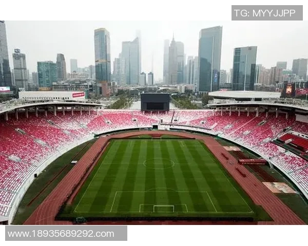 广州免费足球场推荐及使用指南助你畅享足球乐趣
